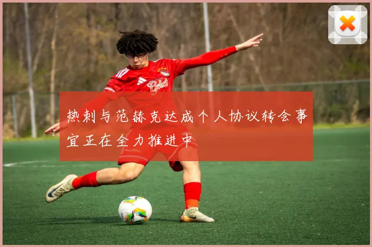 热刺与范赫克达成个人协议转会事宜正在全力推进中